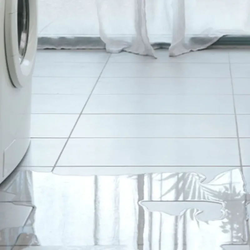 Appliance Leak Cleanup in Selma, CA